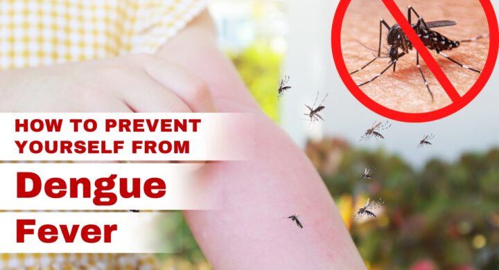 How to Prevent Yourself From Dengue Fever