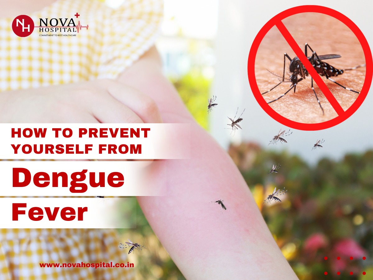 How to Prevent Yourself From Dengue Fever